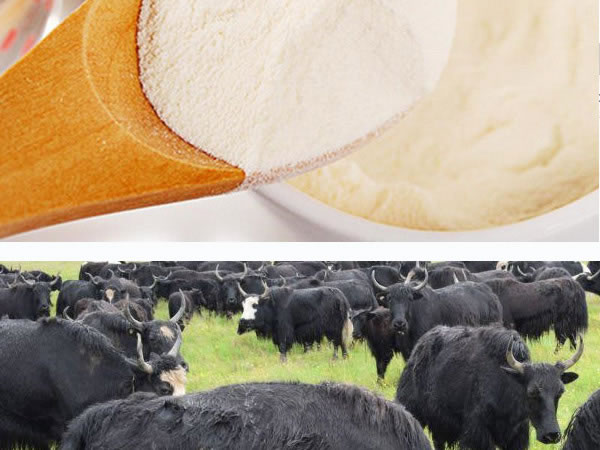 ţ/iƤ/zԭa(chn)(xin)